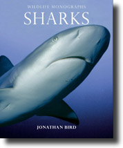 Shark Books