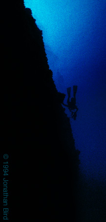 Diver on Wall [--]