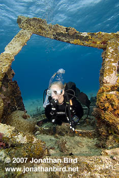 Scuba Diver [--]