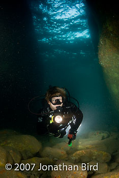 Diver Cave [--]