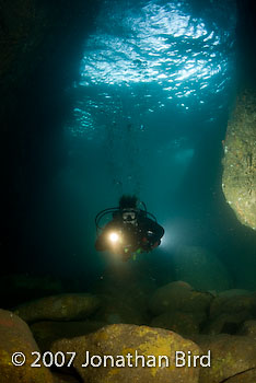 Diver Cave [--]