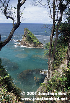 Dominica North shore [--]