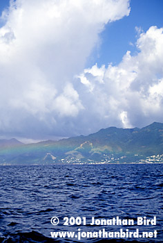 Dominica Rainbow [--]