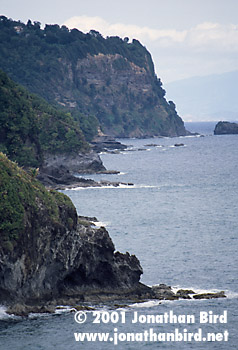 Dominica North coast [--]