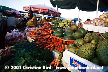 Dominica Open market [--]