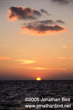Caribbean Sunset [--]